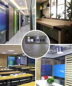 牛耳學(xué)院軟件工廠 專業(yè)軟件外包服務(wù)簡(jiǎn)介