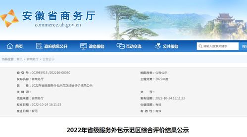 安徽公示2022年省級(jí)服務(wù)外包示范區(qū)綜合評(píng)價(jià)結(jié)果 軟件開發(fā)領(lǐng)域表現(xiàn)突出